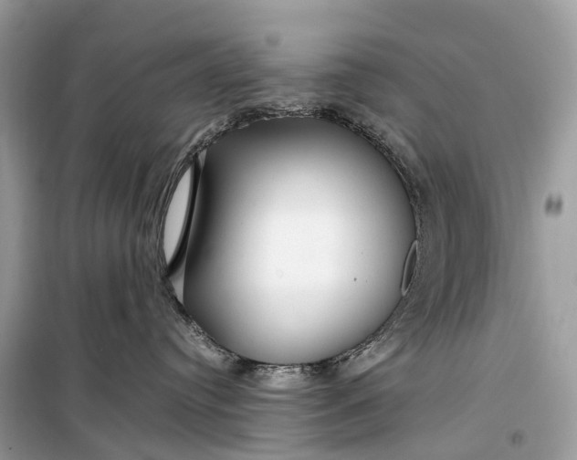 X0000099310384200805161419