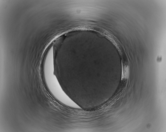 X0000099310387200805161418