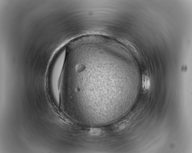 X0000099310388200805161418