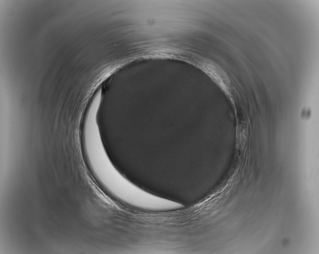 X0000099310389200805161418