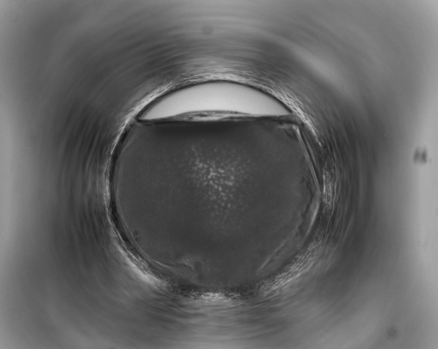 X0000099310390200805161418