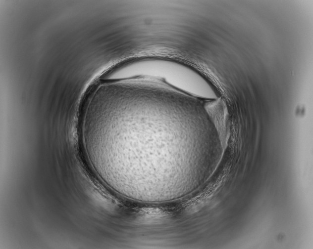 X0000099310392200805161418