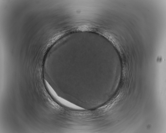 X0000099310393200805161418