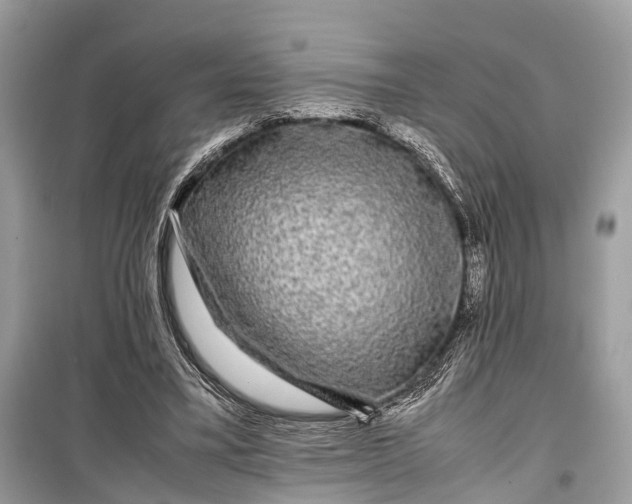 X0000099310395200805161418