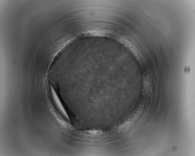 X0000099310398200805161418