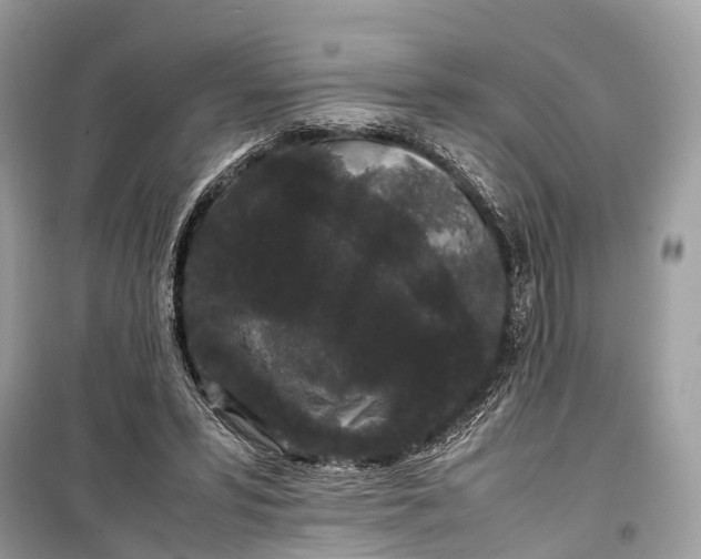 X0000099310399200805161418