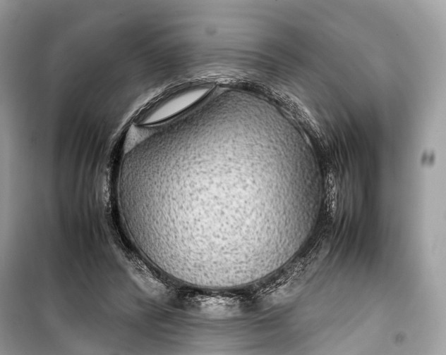 X0000099310400200805161418