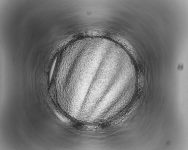 X0000099310401200805161418