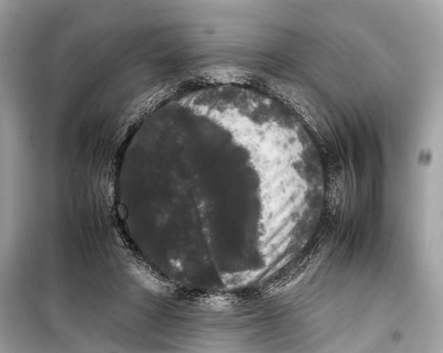 X0000099310402200805161418