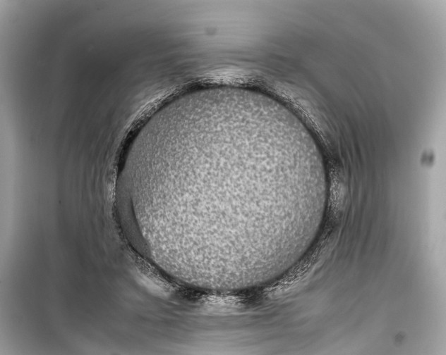 X0000099310403200805161418