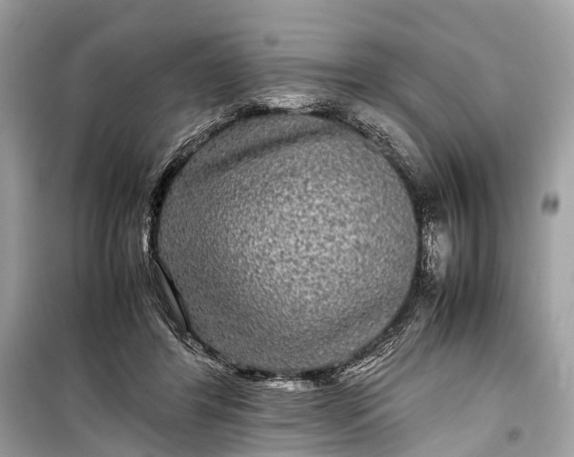 X0000099310404200805161418