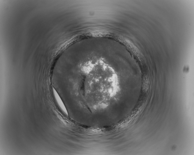 X0000099310405200805161418