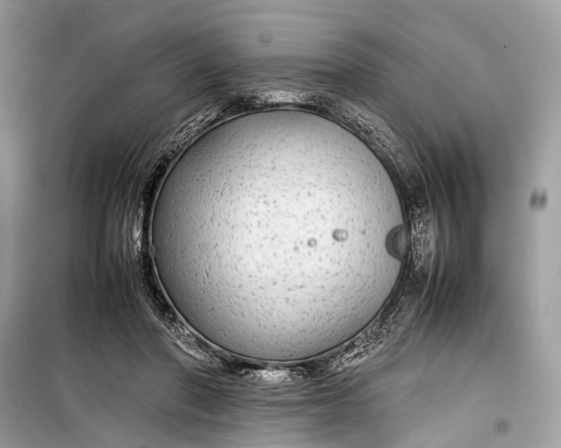 X0000099310406200805161418