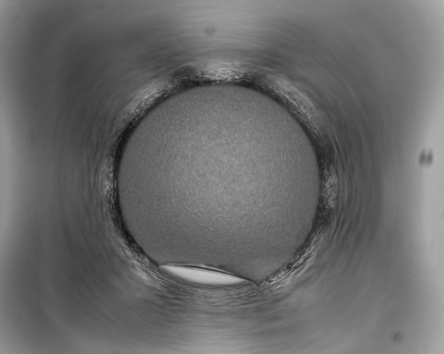 X0000099310407200805161418