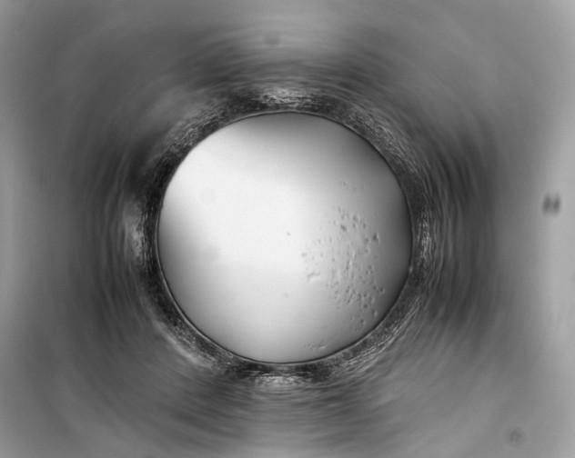 X0000099310408200805161418