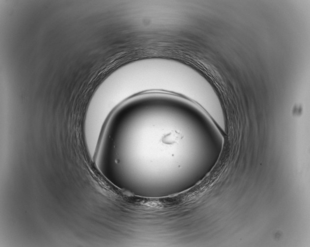 X0000099310409200805161418