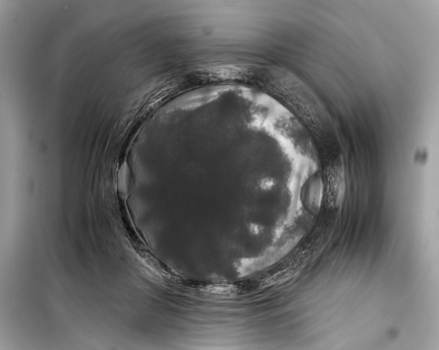 X0000099310410200805161418