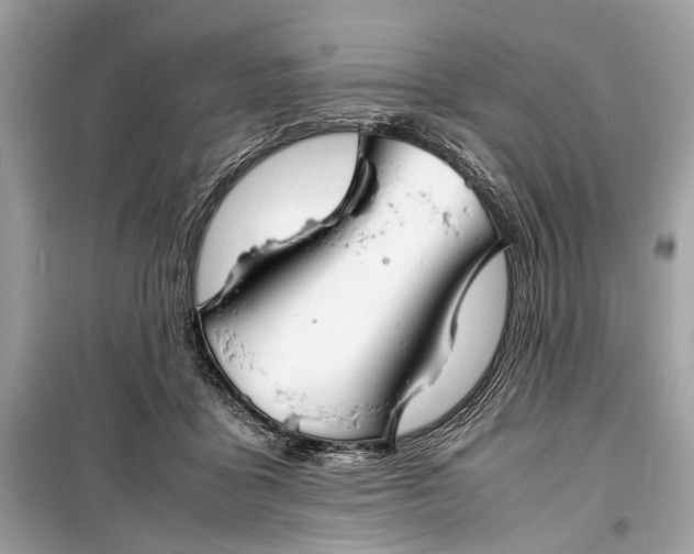 X0000099310411200805161418