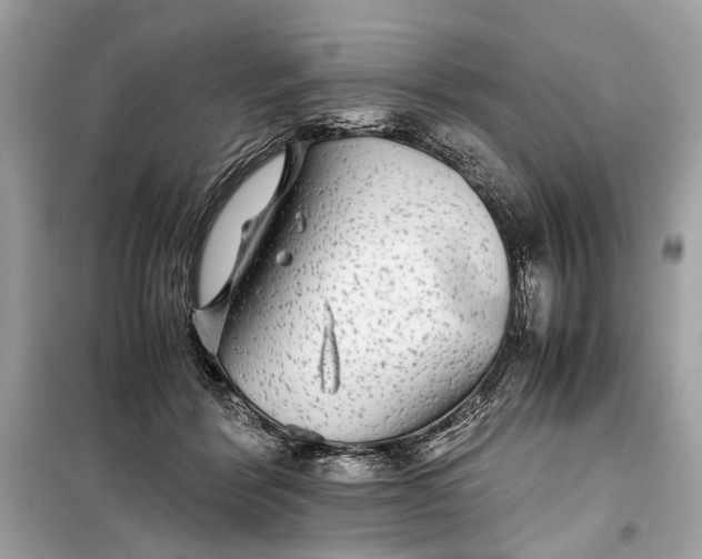 X0000099310412200805161418