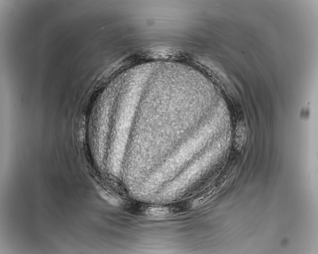 X0000099310413200805161418