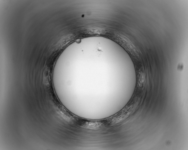 X0000099310414200805161418