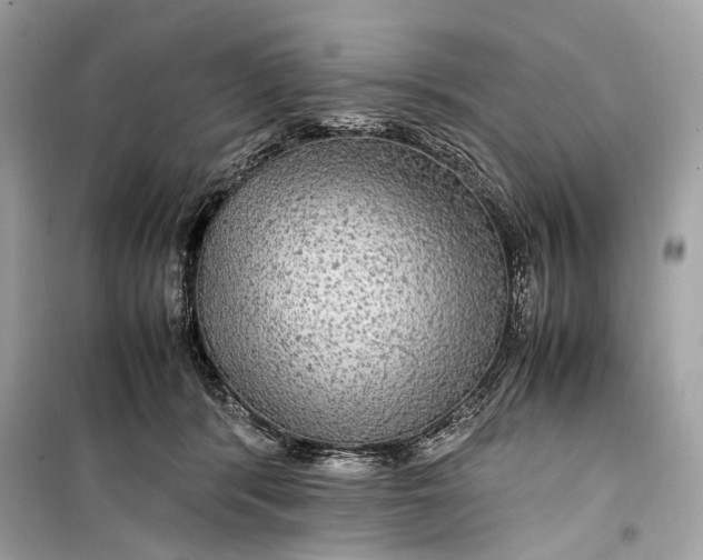 X0000099310416200805161417