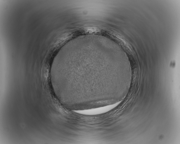 X0000099310417200805161417