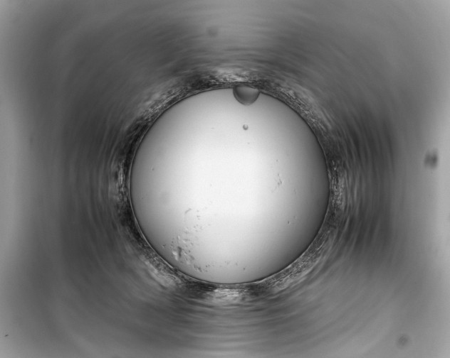 X0000099310418200805161417