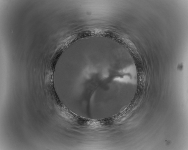 X0000099310419200805161417