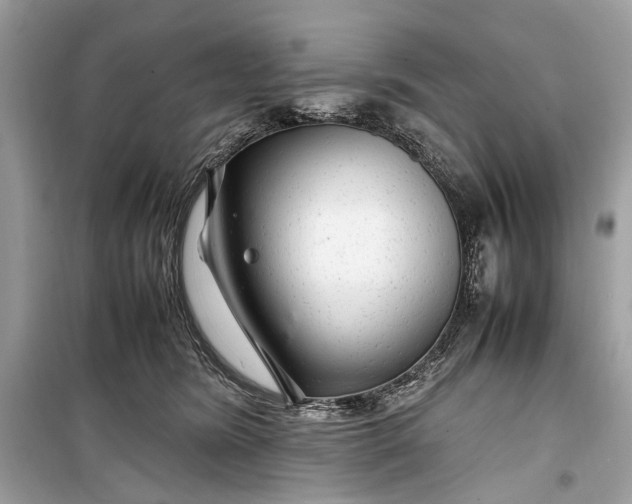 X0000099310420200805161417