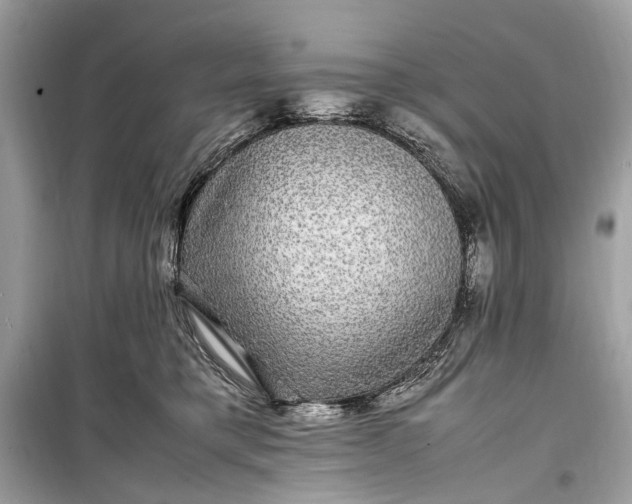 X0000099310421200805161417