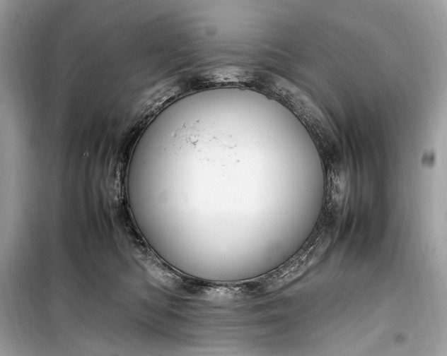 X0000099310422200805161417