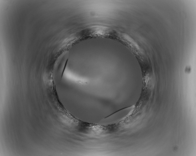 X0000099310423200805161417