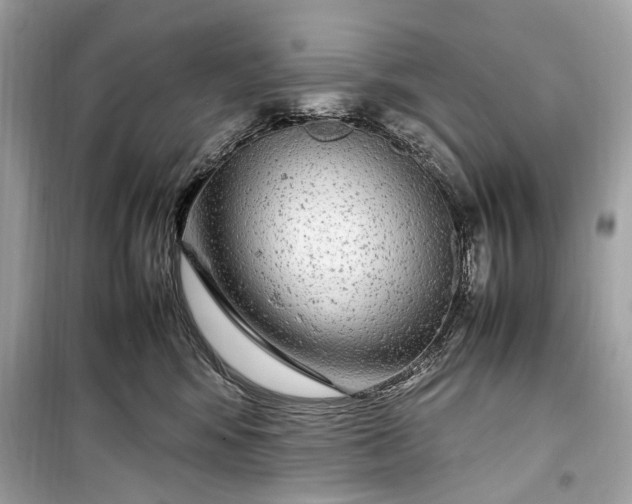 X0000099310424200805161417