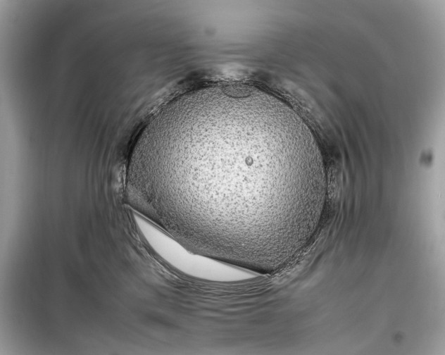 X0000099310425200805161417