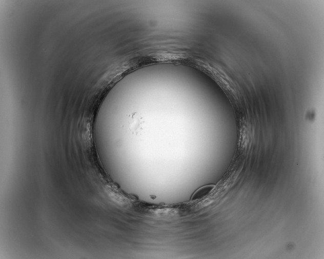 X0000099310426200805161417