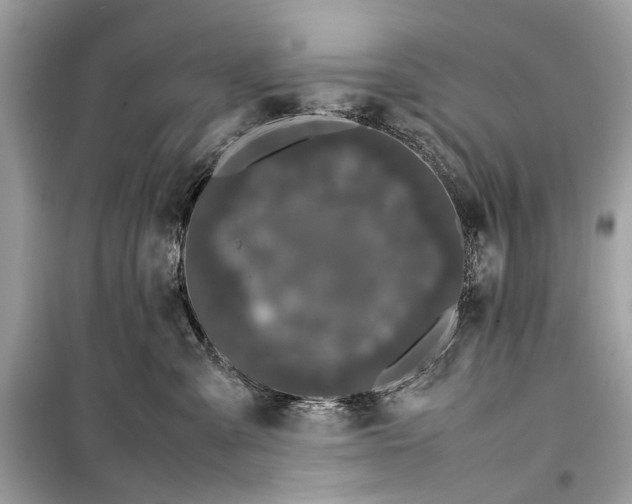 X0000099310427200805161417