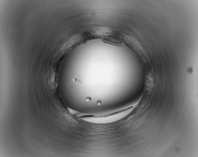 X0000099310428200805161417