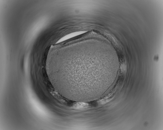 X0000099310429200805161417