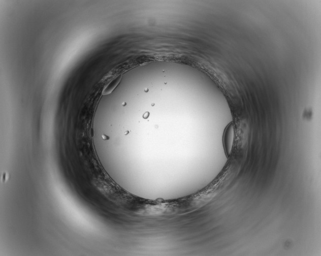 X0000099310430200805161417