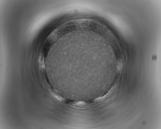 X0000099310431200805161417