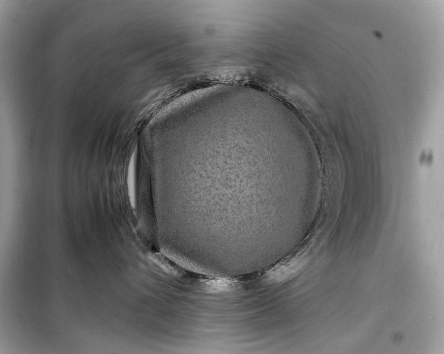 X0000099310432200805161417