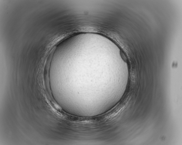 X0000099310433200805161416