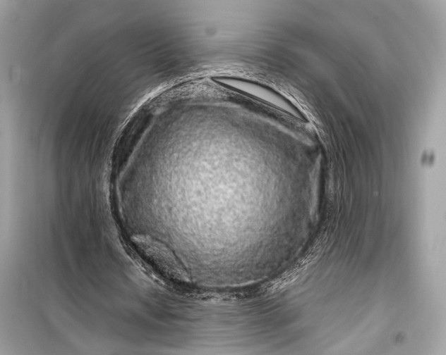 X0000099310434200805161416