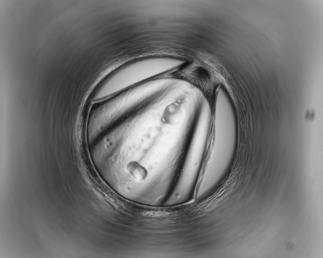 X0000099310435200805161416