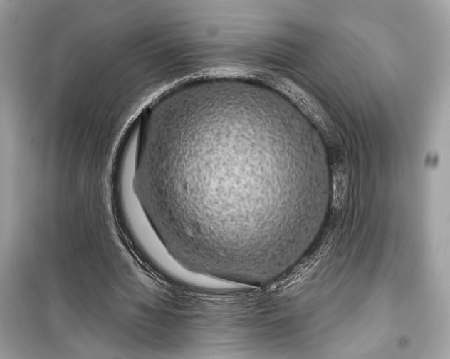 X0000099310436200805161416