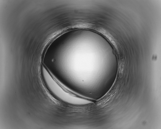 X0000099310437200805161416