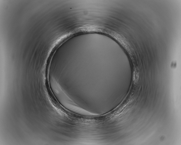 X0000099310438200805161416