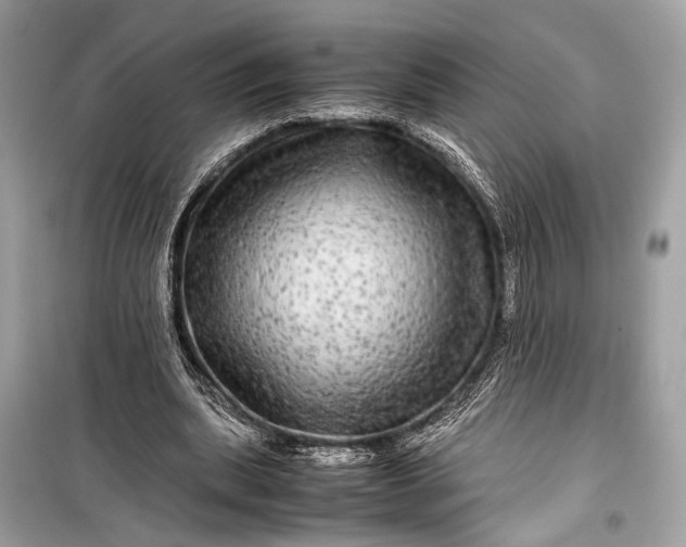 X0000099310439200805161416