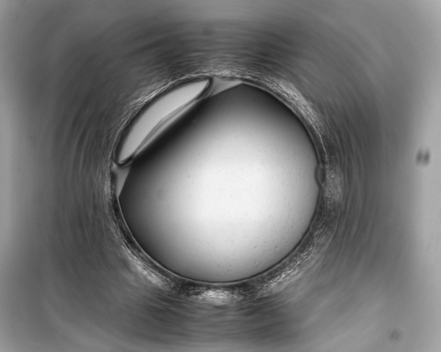 X0000099310441200805161416